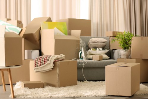 Flexible Bullscross van transport for furniture and boxes