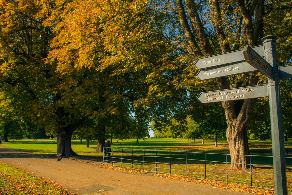 A wide view of a park during autumn with large deciduous trees displaying green and golden leaves. A paved pathway runs through the grass, with a black metal railing alongside. Several people are visi